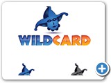 wild-card